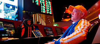Официальный сайт Vulpin Casino